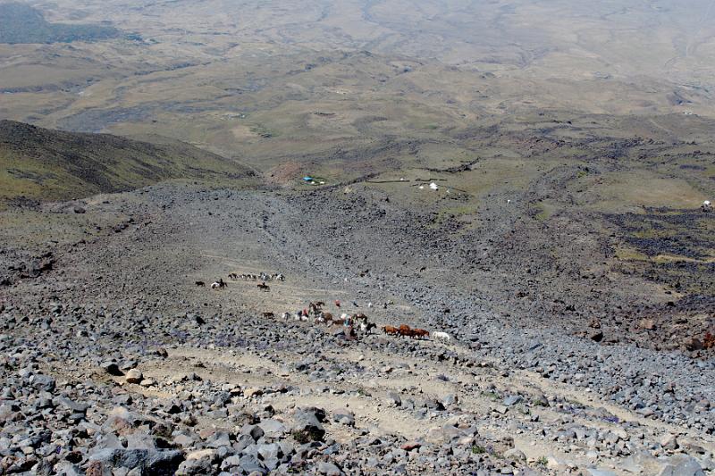 turkey0524.JPG - On the way to the upper camp