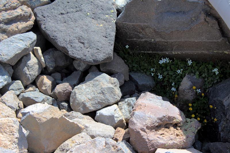 turkey0526.JPG - On the way to the upper camp