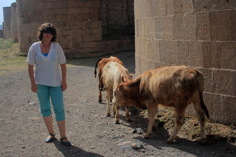 turkey0112.JPG - AniCows in Ani