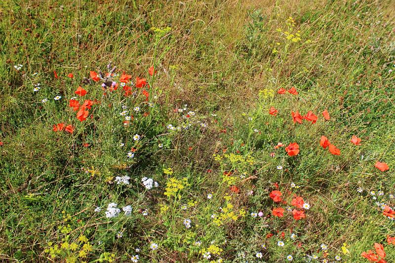 england020.JPG - Stonehenge