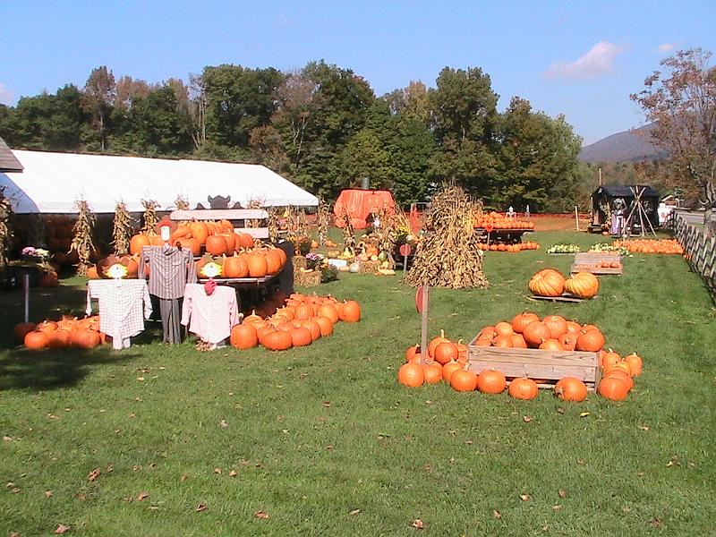 IMG_2900.jpg - Ioka Valley Farm