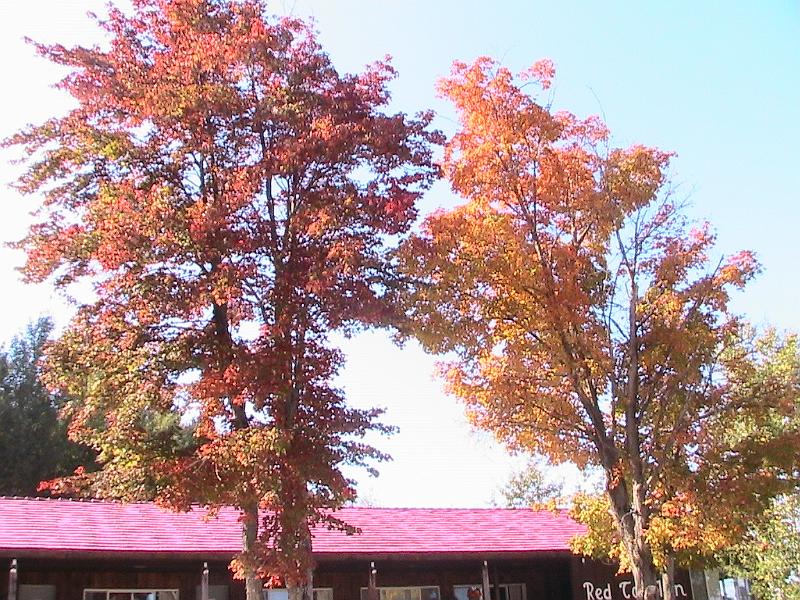 IMG_2977.jpg - Adirondack - Tupper Lake, near hotel