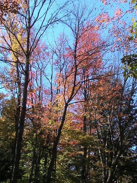 IMG_2988.jpg - Adirondack - Paul Smiths region