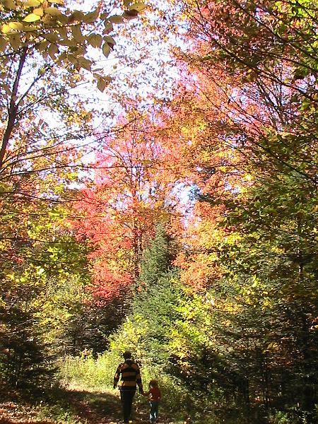 IMG_3046.jpg - Adirondack - Paul Smiths region