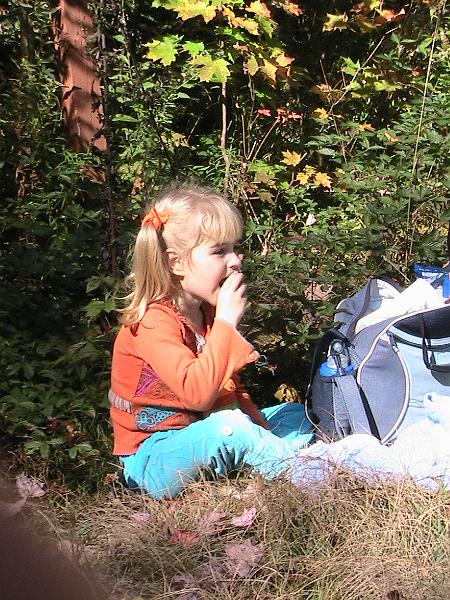 IMG_3075.jpg - Adirondack - the break