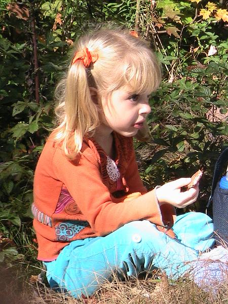 IMG_3077.jpg - Adirondack - the break