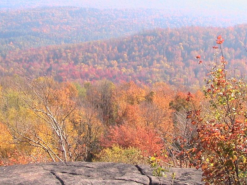 IMG_3119.jpg - Adirondack - view from the Mnt. Paul Smiths