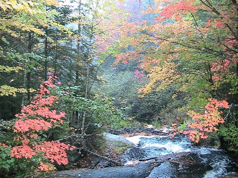 IMG_3158.jpg - Adirondack - Paul Smiths region