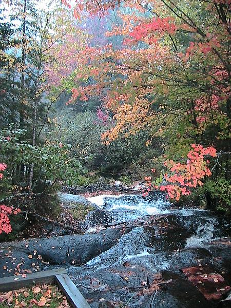 IMG_3162.jpg - Adirondack - Paul Smiths region