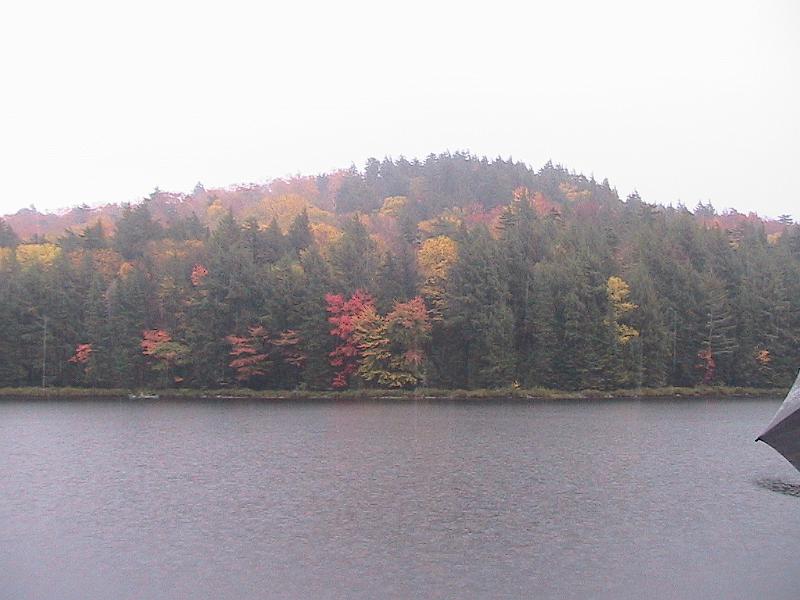 IMG_3236.jpg - Adirondack - Paul Smiths region