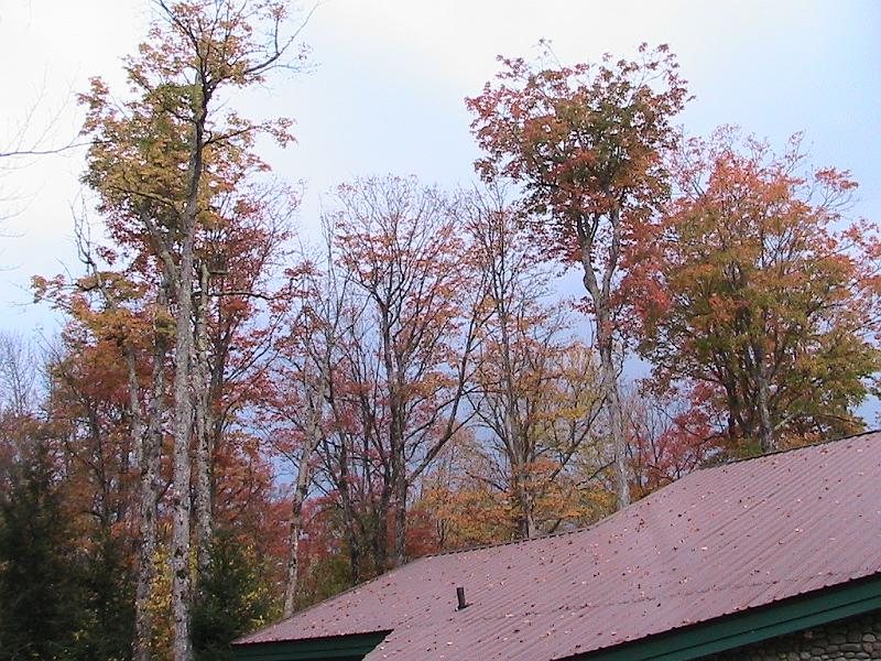 IMG_3245.jpg - Adirondack - Paul Smiths region