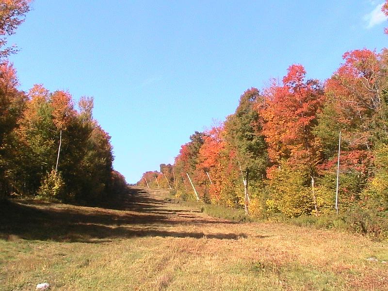 IMG_3286.jpg - Vermont - Ludlow, Mt. Okemo