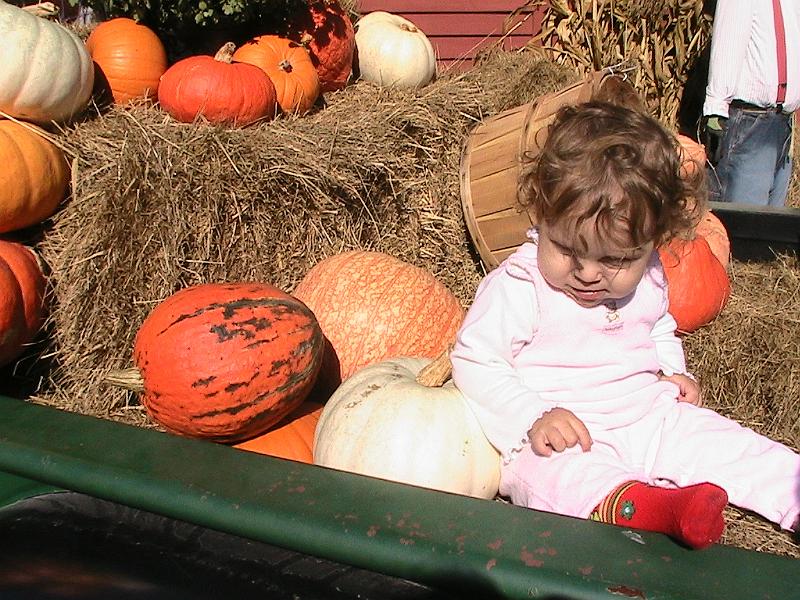 IMG_3355.jpg - Vermont - Windsor, The Vermont Country Store
