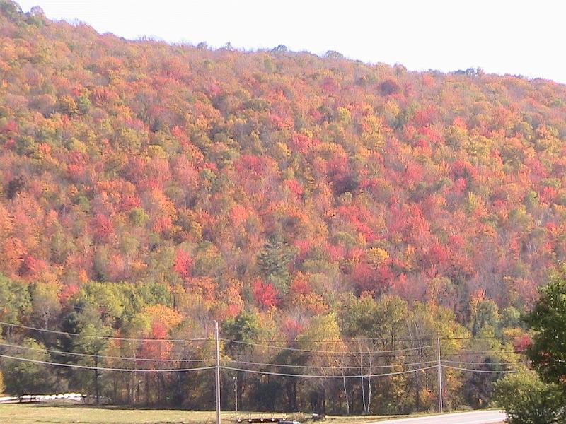 IMG_3368.jpg - Vermont - near Weston