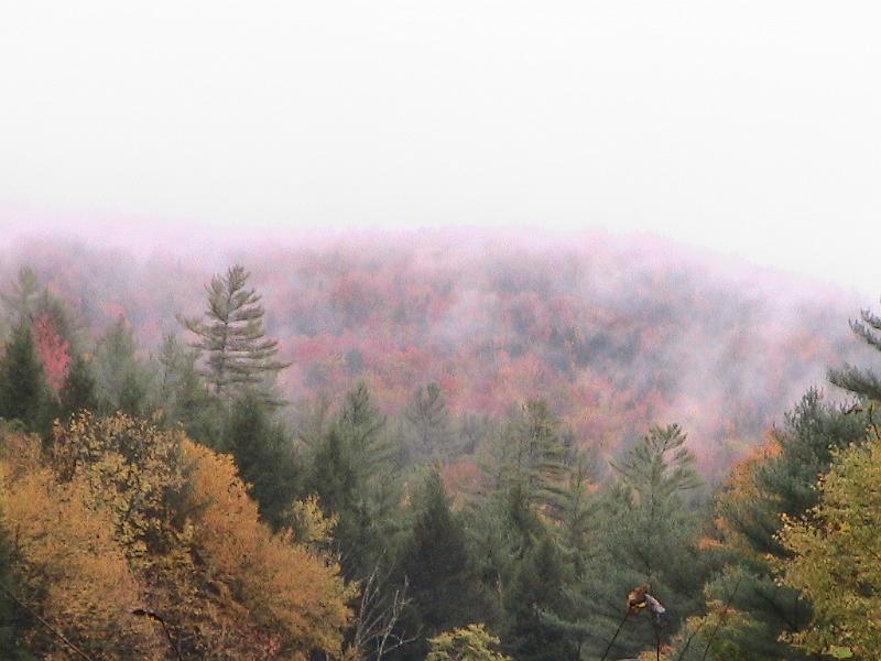 IMG_3461.jpg - Vermont