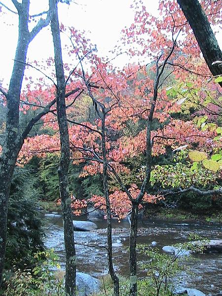 IMG_3473.jpg - Vermont