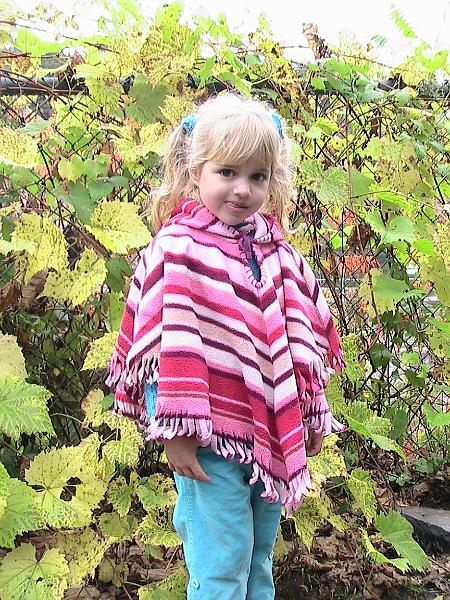 IMG_3502.jpg - Vermont - Quechee (Small Grand Canyon)