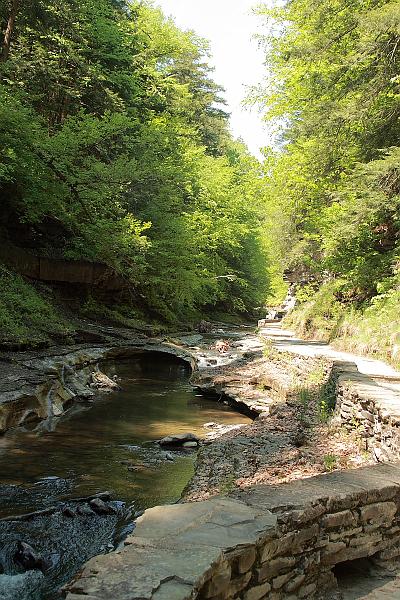 fing3525.JPG - Watkins Glen State Park