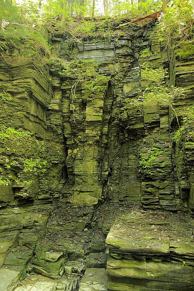 fing3530.JPG - Watkins Glen State Park