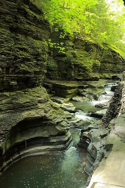 fing3531.JPG - Watkins Glen State Park