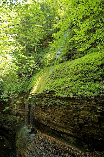 fing3536.JPG - Watkins Glen State Park