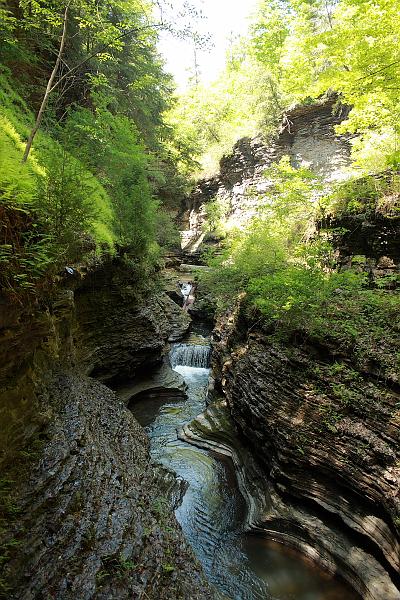 fing3537.JPG - Watkins Glen State Park