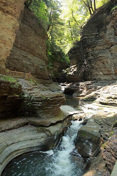 fing3539.JPG - Watkins Glen State Park
