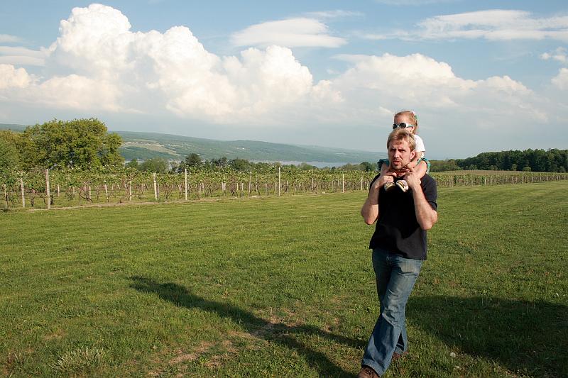 fing3562.JPG - Vineyard "Glenora on Seneca"