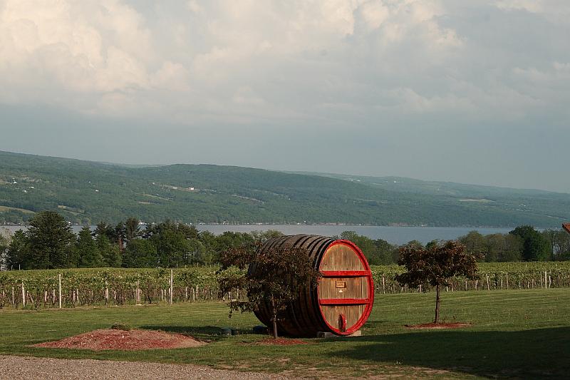 fing3563.JPG - Vineyard "Glenora on Seneca"