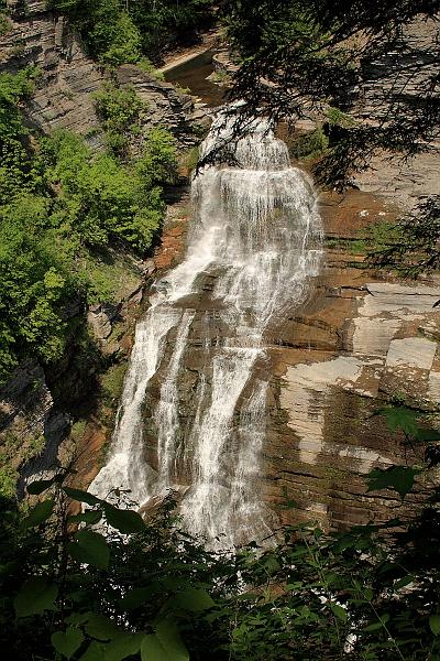 fing3570.JPG - Robert H. Treman State Park