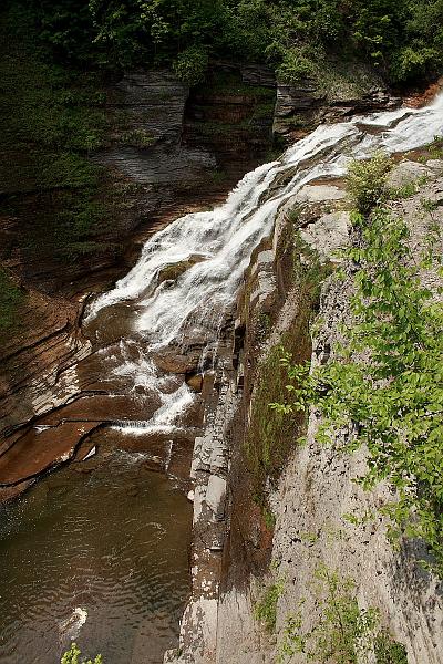 fing3572.JPG - Robert H. Treman State Park