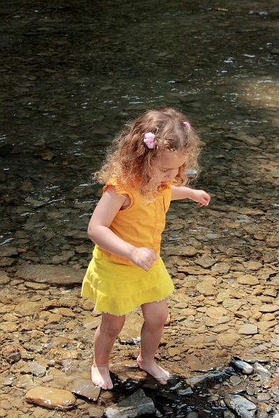 fing3579.JPG - Robert H. Treman State Park