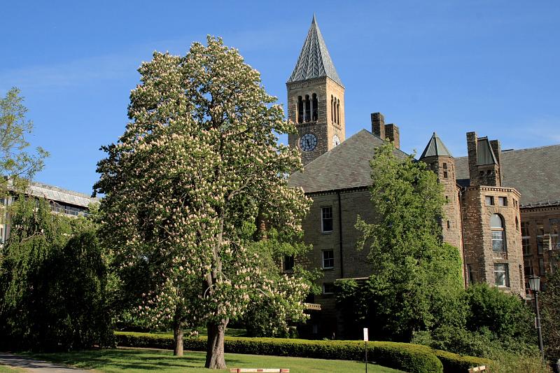 fing3603.JPG - Cornell University