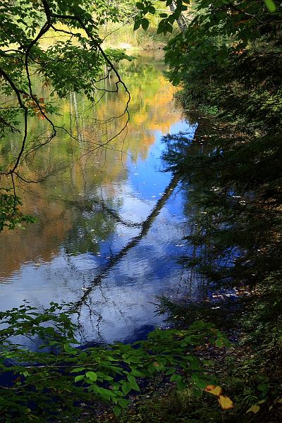 fing4119.JPG - Fillmore Glen State Park