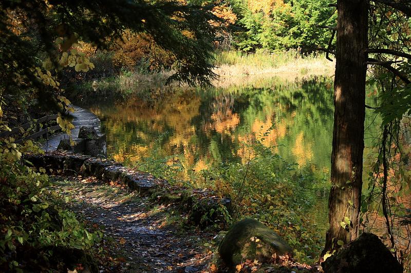 fing4120.JPG - Fillmore Glen State Park