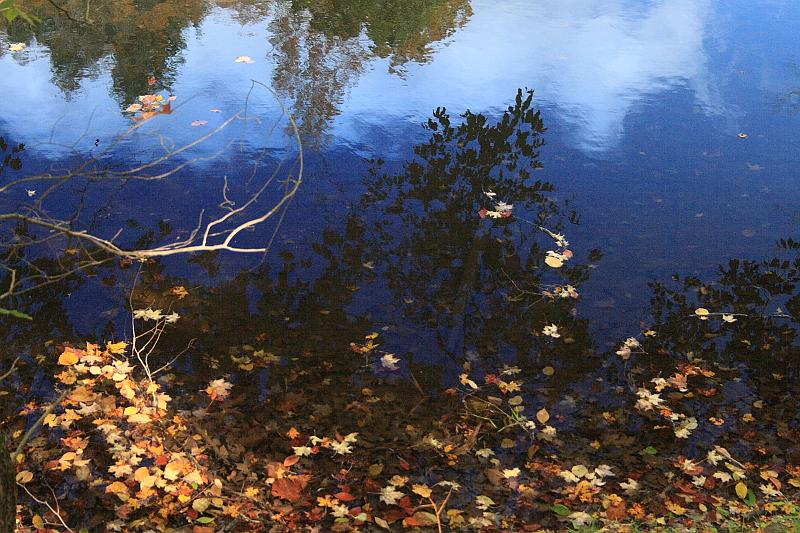 fing4121.JPG - Fillmore Glen State Park