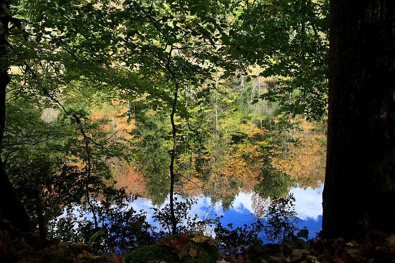 fing4122.JPG - Fillmore Glen State Park