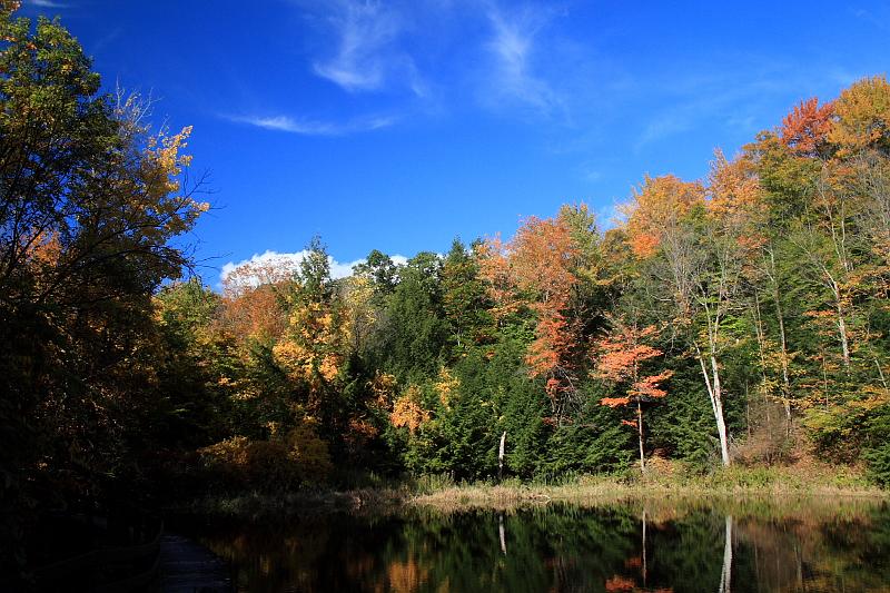 fing4123.JPG - Fillmore Glen State Park