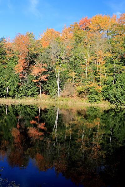 fing4124.JPG - Fillmore Glen State Park