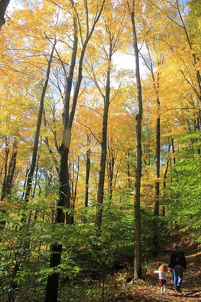 fing4134.JPG - Fillmore Glen State Park