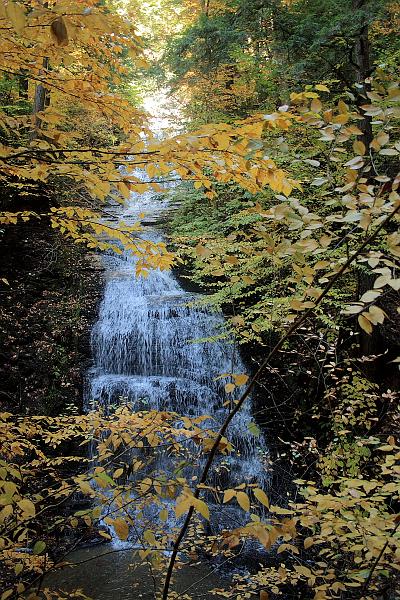 fing4142.JPG - Fillmore Glen State Park