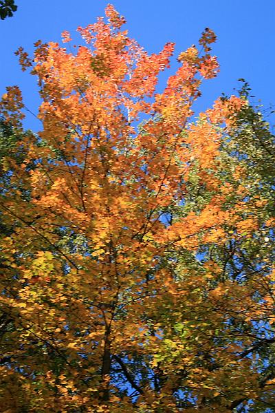 fing4173.JPG - Watkins Glen State Park