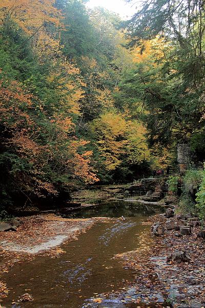 fing4203.JPG - Watkins Glen State Park