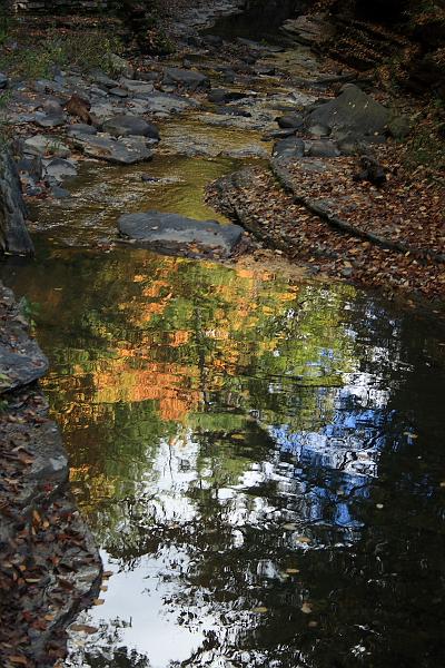 fing4207.JPG - Watkins Glen State Park