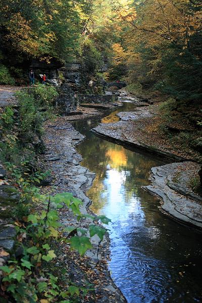 fing4208.JPG - Watkins Glen State Park