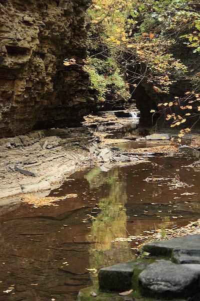 fing4222.JPG - Watkins Glen State Park