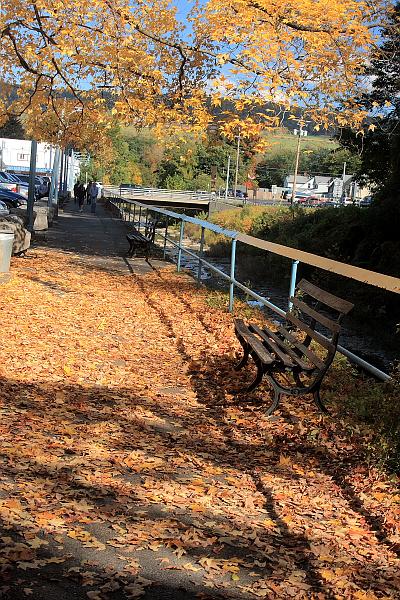 fing4225.JPG - Watkins Glen State Park