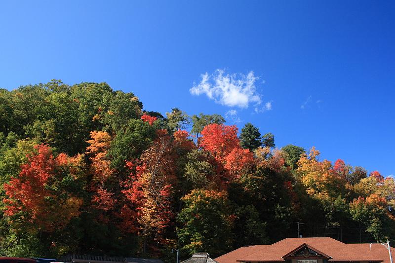 fing4231.JPG - Watkins Glen State Park