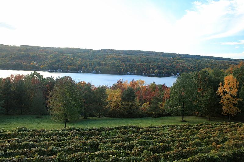 fing4241.JPG - View on Keuka Lake