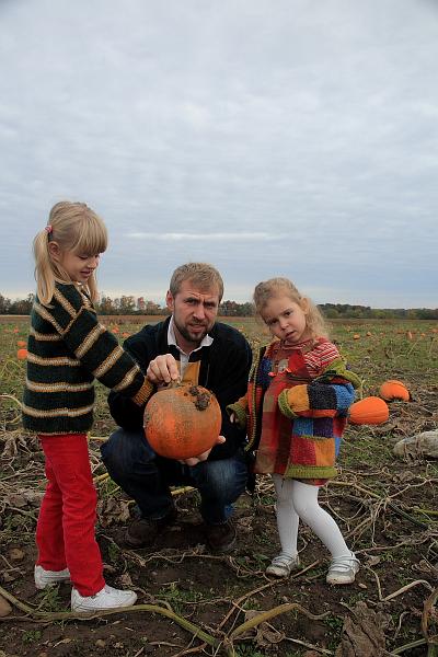 fing4247.JPG - Pumpkins on the way near Keuka Lake